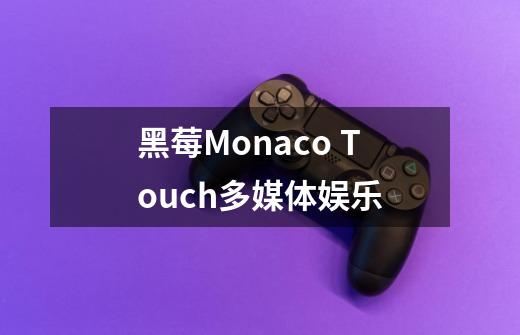 黑莓Monaco Touch多媒体娱乐-第1张-游戏信息-龙启网