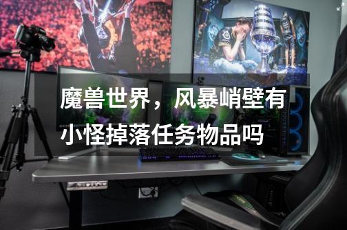魔兽世界，风暴峭壁有小怪掉落任务物品吗-第1张-游戏信息-龙启网