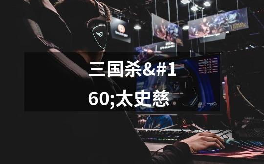 三国杀 太史慈-第1张-游戏信息-龙启网