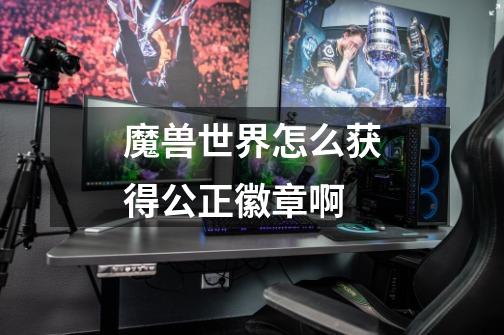 魔兽世界怎么获得公正徽章啊-第1张-游戏信息-龙启网