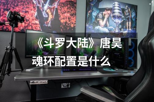 《斗罗大陆》唐昊魂环配置是什么-第1张-游戏信息-龙启网