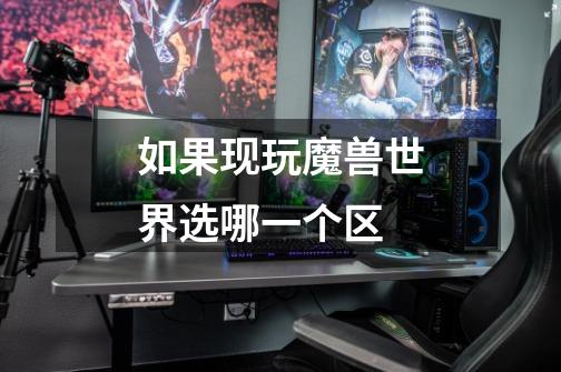 如果现玩魔兽世界选哪一个区-第1张-游戏信息-龙启网