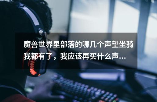 魔兽世界里部落的哪几个声望坐骑我都有了,我应该再买什么声望战袍来刷坐骑-第1张-游戏信息-龙启网