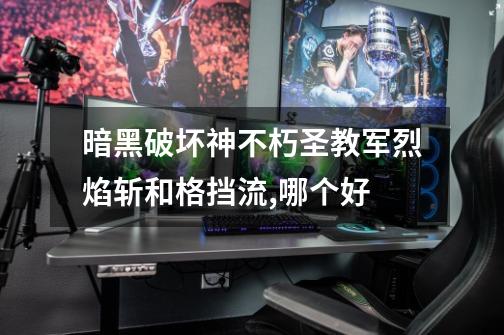 暗黑破坏神不朽圣教军烈焰斩和格挡流,哪个好-第1张-游戏信息-龙启网