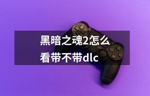 黑暗之魂2怎么看带不带dlc-第1张-游戏信息-龙启网
