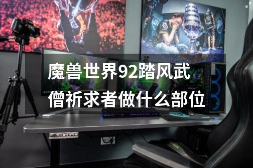 魔兽世界9.2踏风武僧祈求者做什么部位-第1张-游戏信息-龙启网