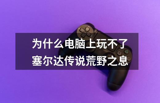 为什么电脑上玩不了塞尔达传说荒野之息-第1张-游戏信息-龙启网