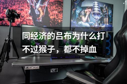 同经济的吕布为什么打不过猴子,都不掉血-第1张-游戏信息-龙启网