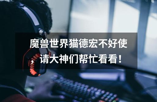 魔兽世界猫德宏不好使，请大神们帮忙看看！-第1张-游戏信息-龙启网