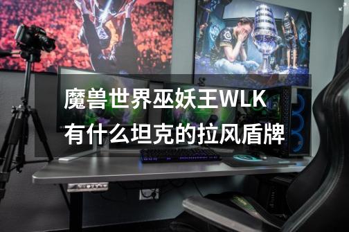 魔兽世界巫妖王WLK有什么坦克的拉风盾牌-第1张-游戏信息-龙启网