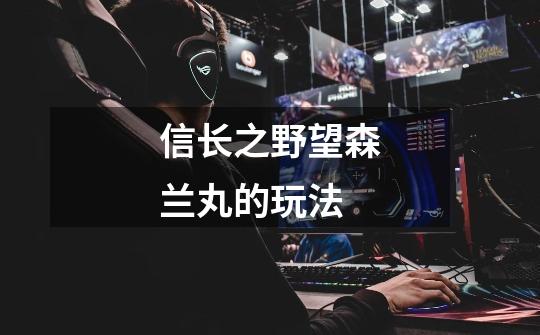 信长之野望森兰丸的玩法-第1张-游戏信息-龙启网