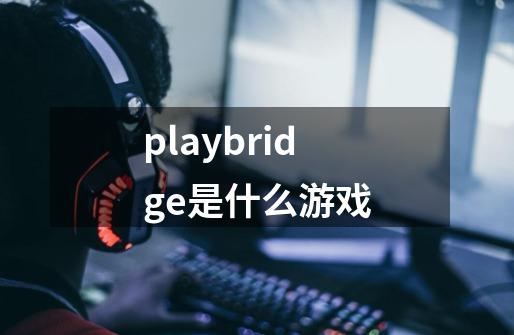 playbridge是什么游戏-第1张-游戏信息-龙启网