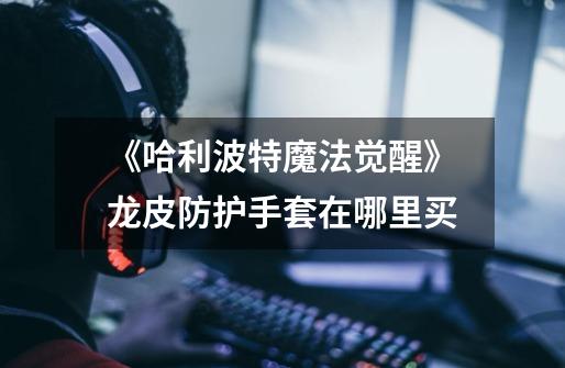 《哈利波特魔法觉醒》龙皮防护手套在哪里买-第1张-游戏信息-龙启网