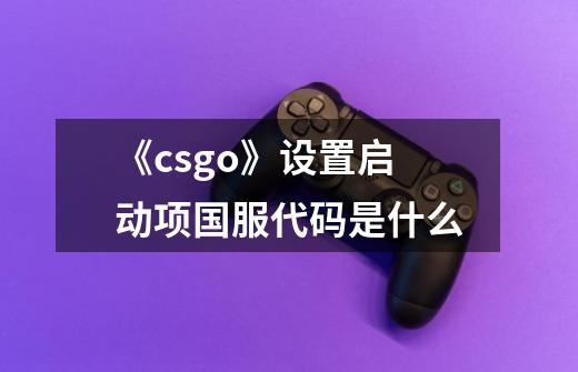 《csgo》设置启动项国服代码是什么-第1张-游戏信息-龙启网