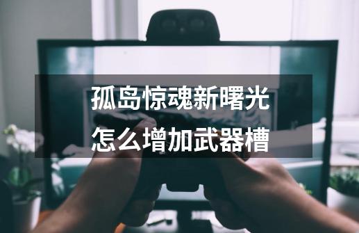孤岛惊魂新曙光怎么增加武器槽-第1张-游戏信息-龙启网