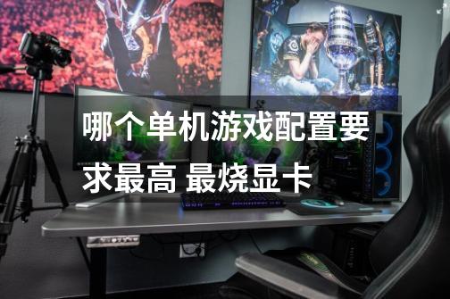哪个单机游戏配置要求最高 最烧显卡-第1张-游戏信息-龙启网