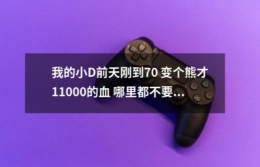 我的小D前天刚到70 变个熊才11000的血 哪里都不要 我该怎么办呢-第1张-游戏信息-龙启网