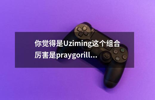 你觉得是Uzi+ming这个组合厉害是pray+gorilla厉害-第1张-游戏信息-龙启网