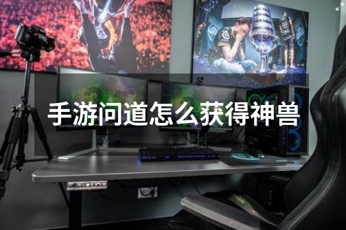 手游问道怎么获得神兽-第1张-游戏信息-龙启网