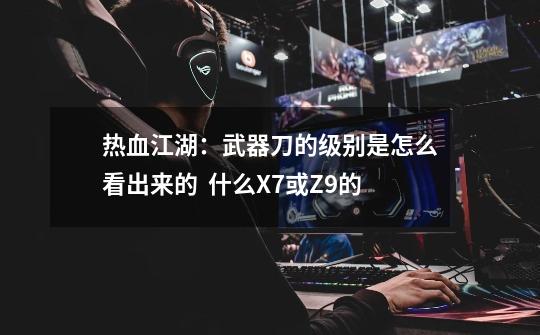 热血江湖:武器刀的级别是怎么看出来的 什么X7或Z9的-第1张-游戏信息-龙启网
