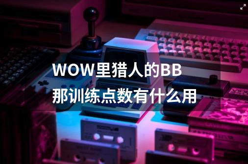 WOW里猎人的BB 那训练点数有什么用-第1张-游戏信息-龙启网