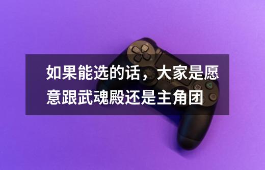 如果能选的话,大家是愿意跟武魂殿还是主角团-第1张-游戏信息-龙启网