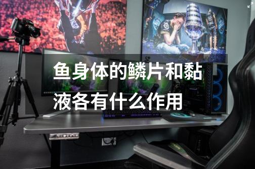 鱼身体的鳞片和黏液各有什么作用-第1张-游戏信息-龙启网