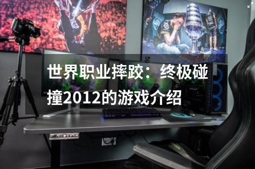 世界职业摔跤：终极碰撞2012的游戏介绍-第1张-游戏信息-龙启网