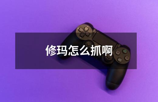 修玛怎么抓啊-第1张-游戏信息-龙启网