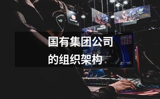 国有集团公司的组织架构-第1张-游戏信息-龙启网