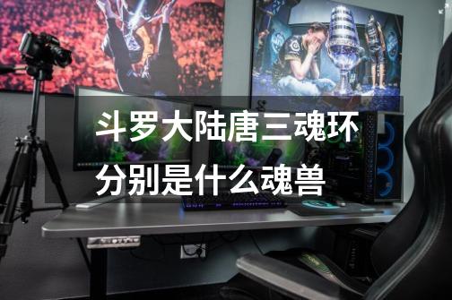 斗罗大陆唐三魂环分别是什么魂兽-第1张-游戏信息-龙启网