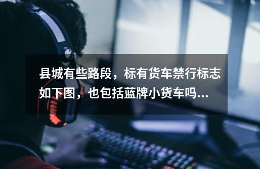 县城有些路段,标有货车禁行标志如下图,也包括蓝牌小货车吗!-第1张-游戏信息-龙启网