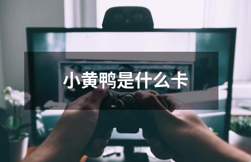 小黄鸭是什么卡-第1张-游戏信息-龙启网