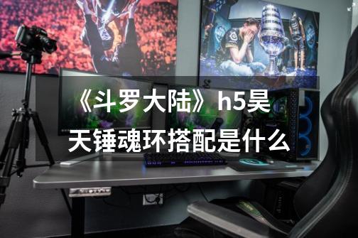 《斗罗大陆》h5昊天锤魂环搭配是什么-第1张-游戏信息-龙启网