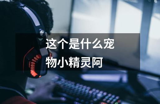 这个是什么宠物小精灵阿-第1张-游戏信息-龙启网