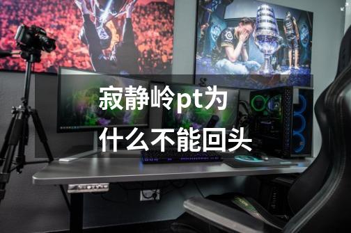 寂静岭pt为什么不能回头-第1张-游戏信息-龙启网