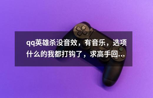 qq英雄杀没音效，有音乐，选项什么的我都打钩了，求高手回答-第1张-游戏信息-龙启网