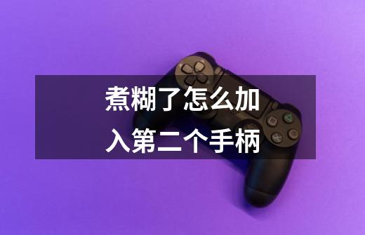 煮糊了怎么加入第二个手柄-第1张-游戏信息-龙启网