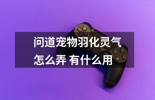 问道宠物羽化灵气怎么弄 有什么用-第1张-游戏信息-龙启网