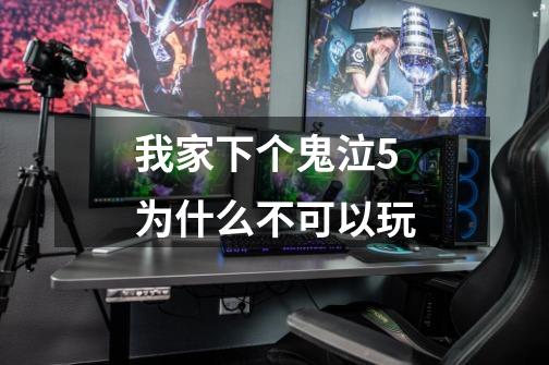 我家下个鬼泣5为什么不可以玩-第1张-游戏信息-龙启网