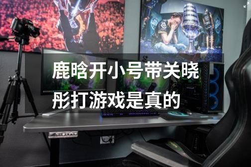 鹿晗开小号带关晓彤打游戏是真的-第1张-游戏信息-龙启网