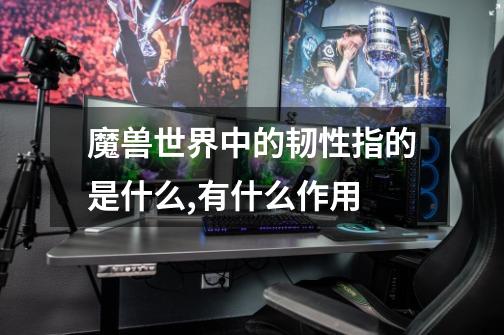 魔兽世界中的韧性指的是什么,有什么作用-第1张-游戏信息-龙启网