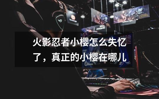 火影忍者小樱怎么失忆了,真正的小樱在哪儿-第1张-游戏信息-龙启网