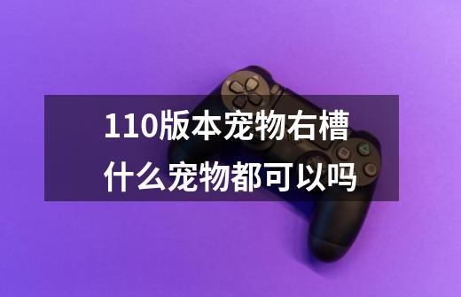 110版本宠物右槽什么宠物都可以吗-第1张-游戏信息-龙启网