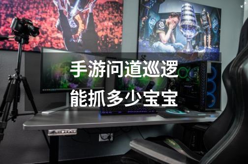 手游问道巡逻能抓多少宝宝-第1张-游戏信息-龙启网