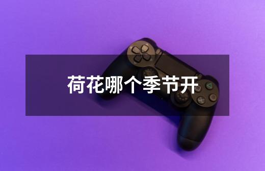 荷花哪个季节开-第1张-游戏信息-龙启网