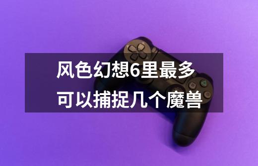 风色幻想6里最多可以捕捉几个魔兽-第1张-游戏信息-龙启网
