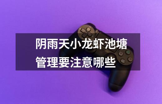 阴雨天小龙虾池塘管理要注意哪些-第1张-游戏信息-龙启网