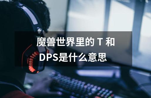 魔兽世界里的 T 和 DPS是什么意思-第1张-游戏信息-龙启网
