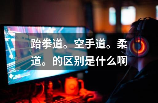 跆拳道。空手道。柔道。的区别是什么啊-第1张-游戏信息-龙启网